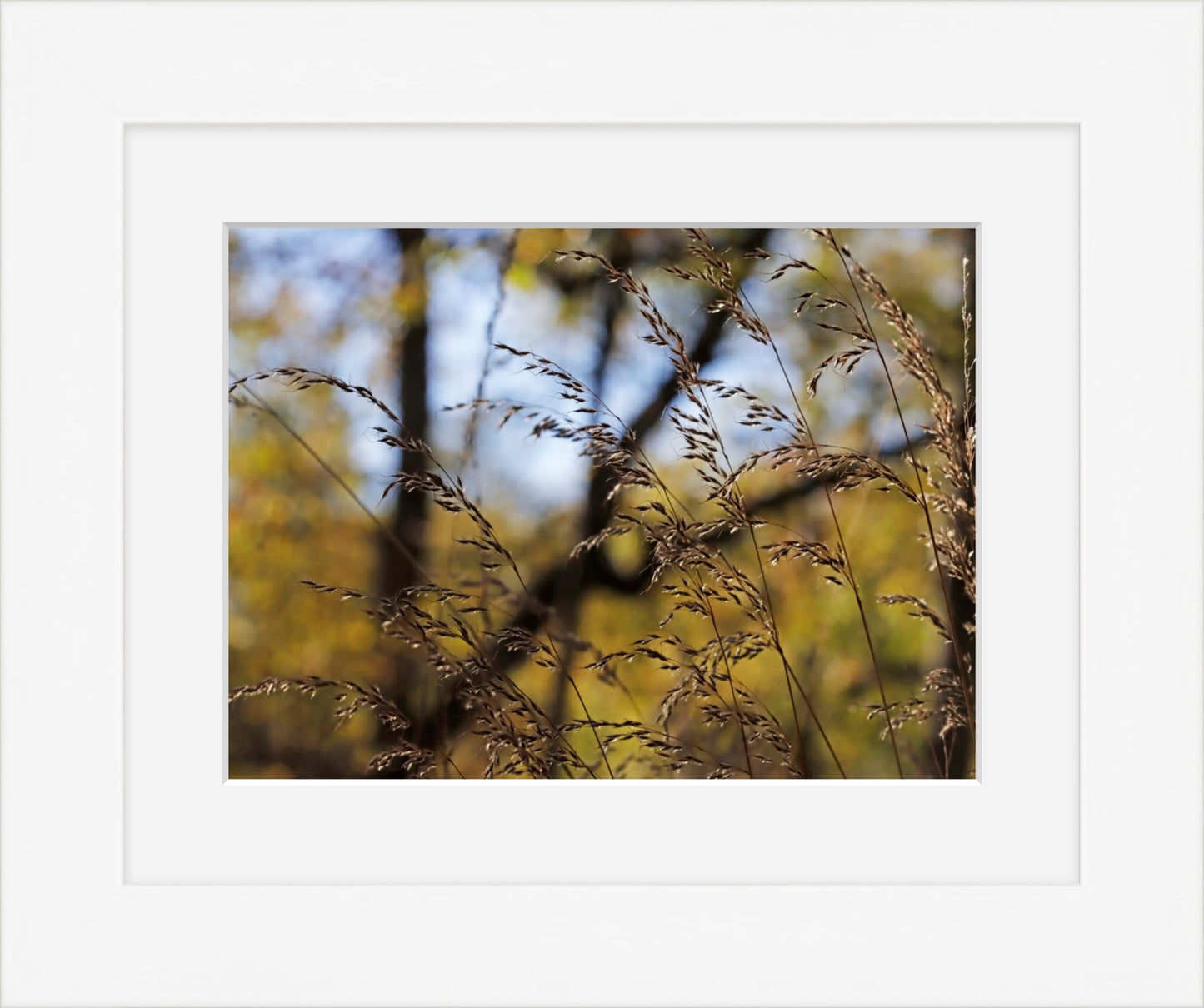 Autumns flourish