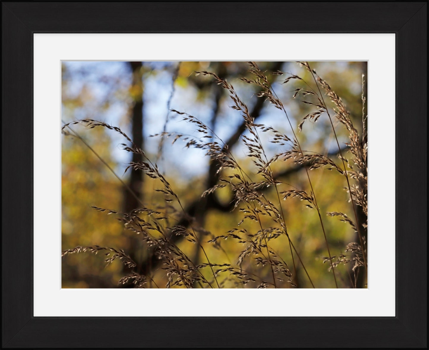 Autumns flourish