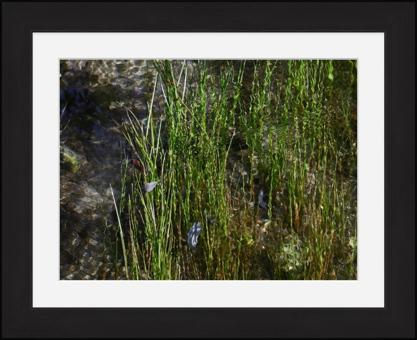 Stream grasses