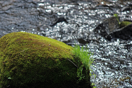 Boulders