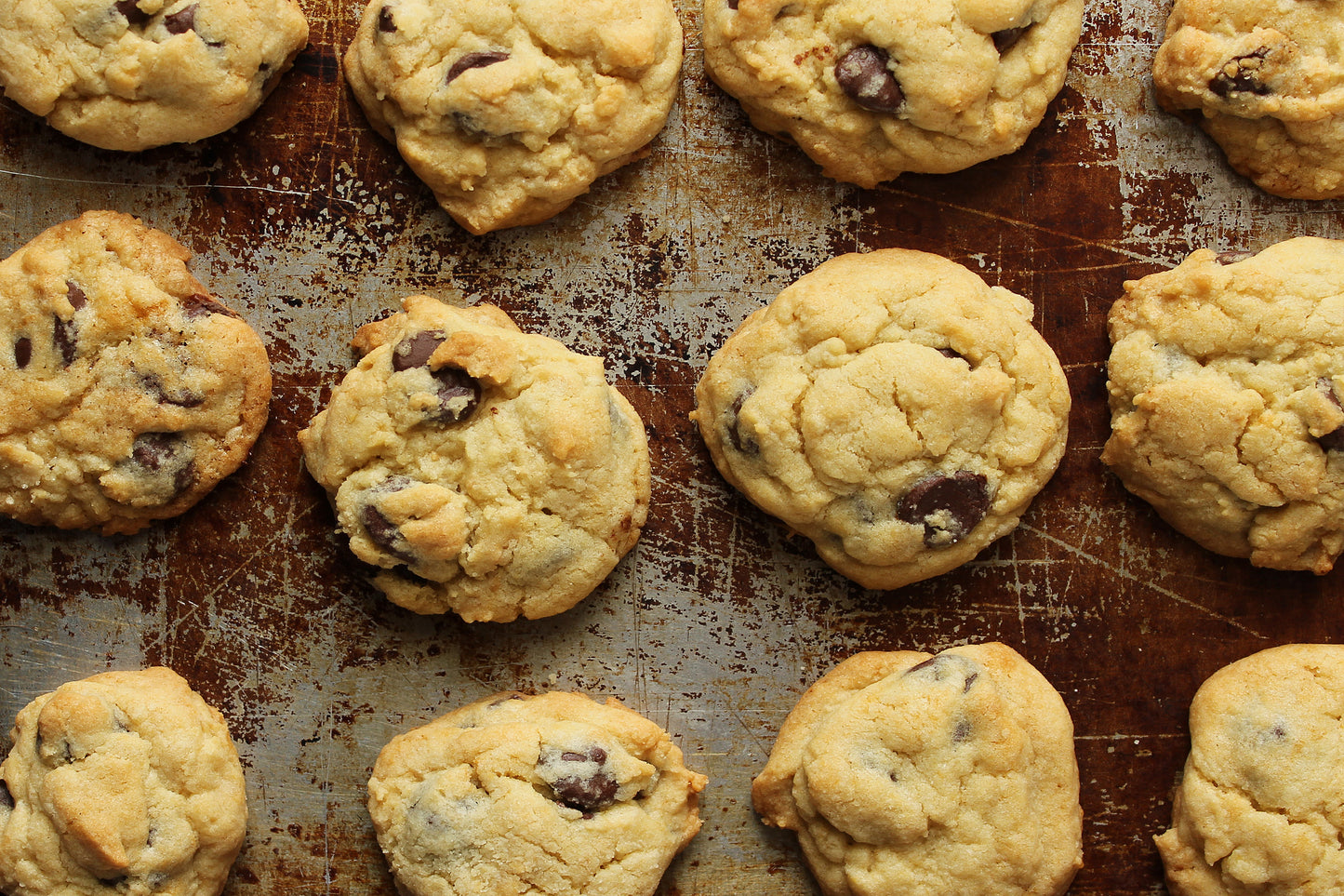 Chocolate chip cookies