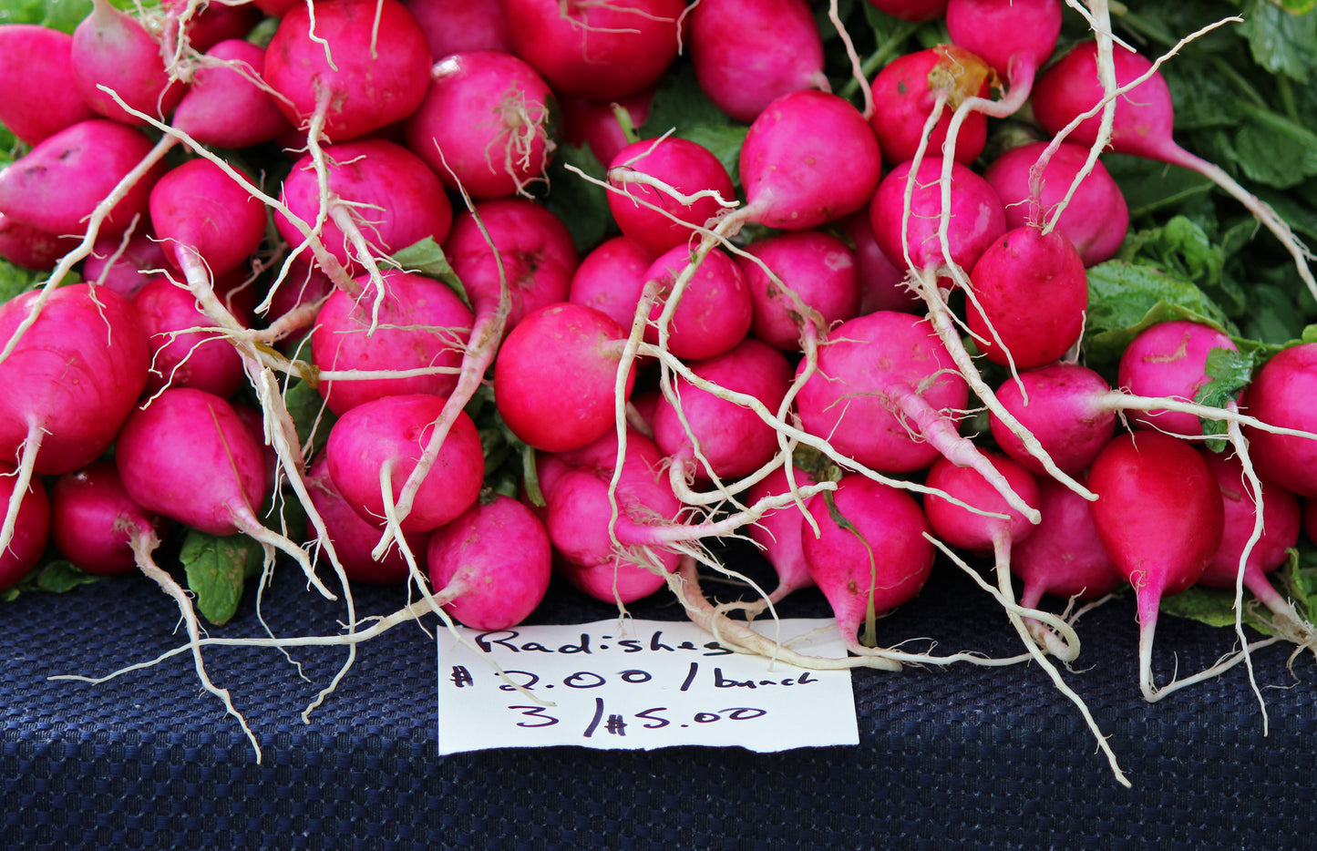 Farmer's Market radishes