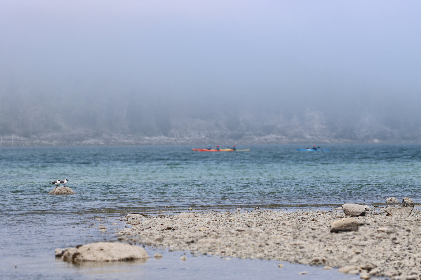 Bar Harbor Sand Bar