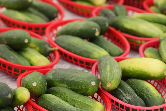Cucumbers for sale