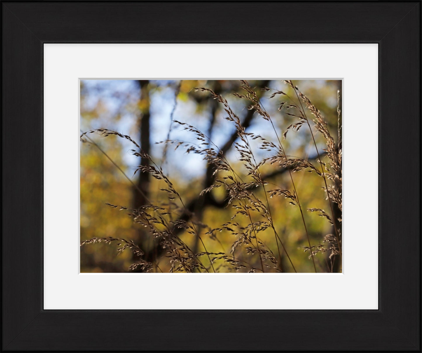 Autumns flourish