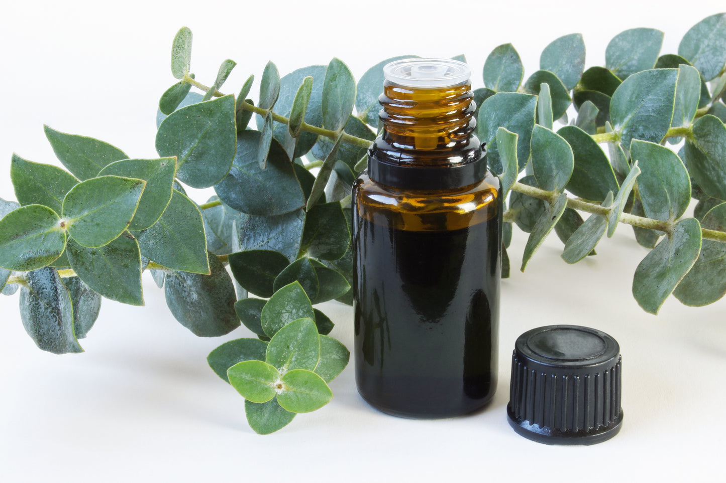 Eucalyptus essential oil