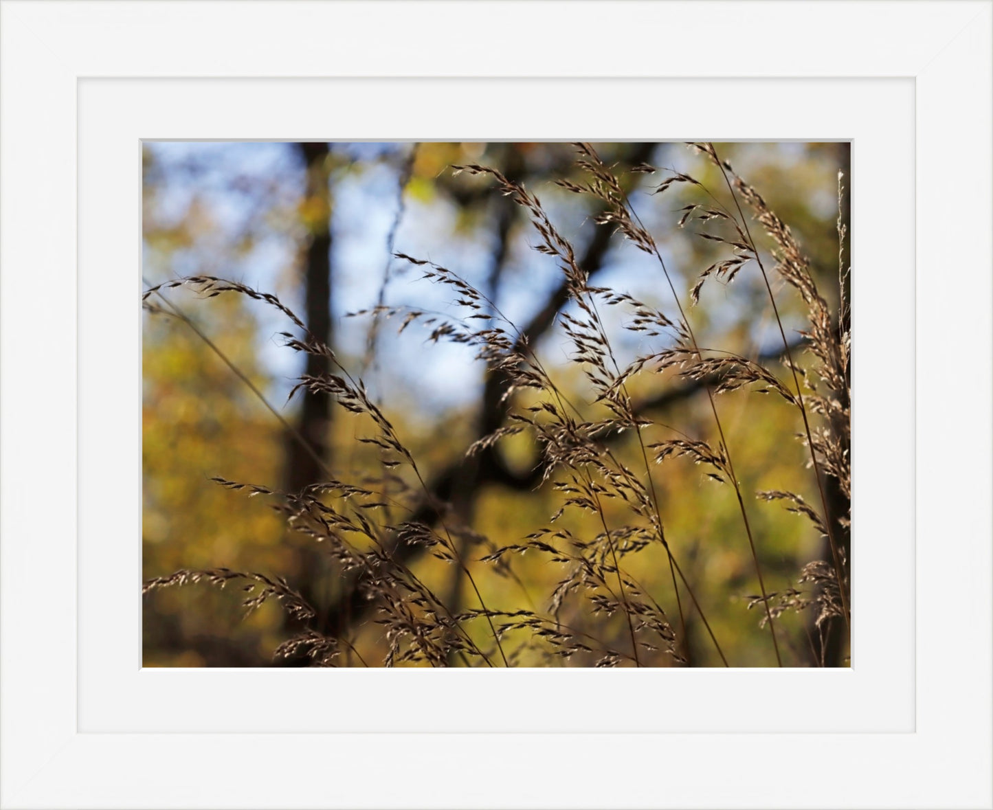 Autumns flourish