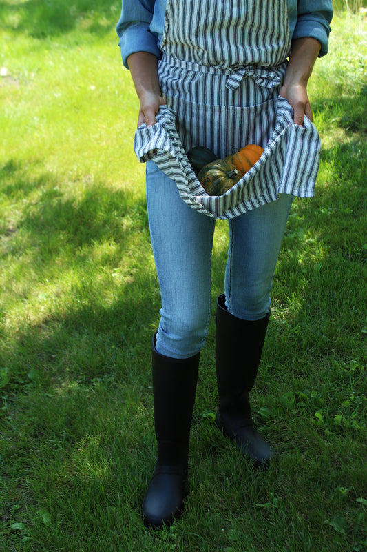 Acorn squash harvest