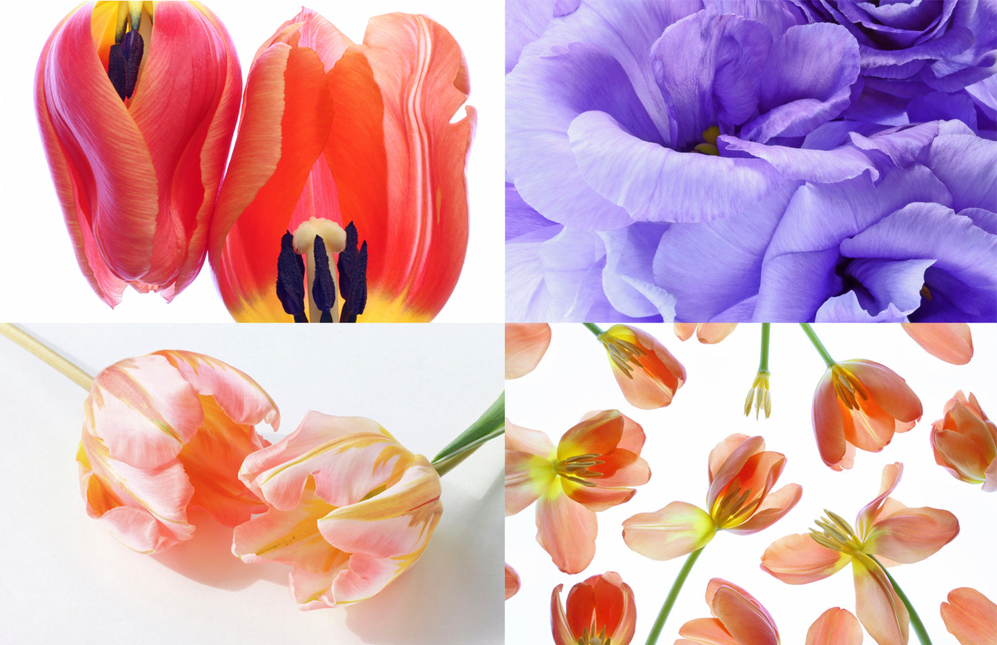 Greeting Cards Set B