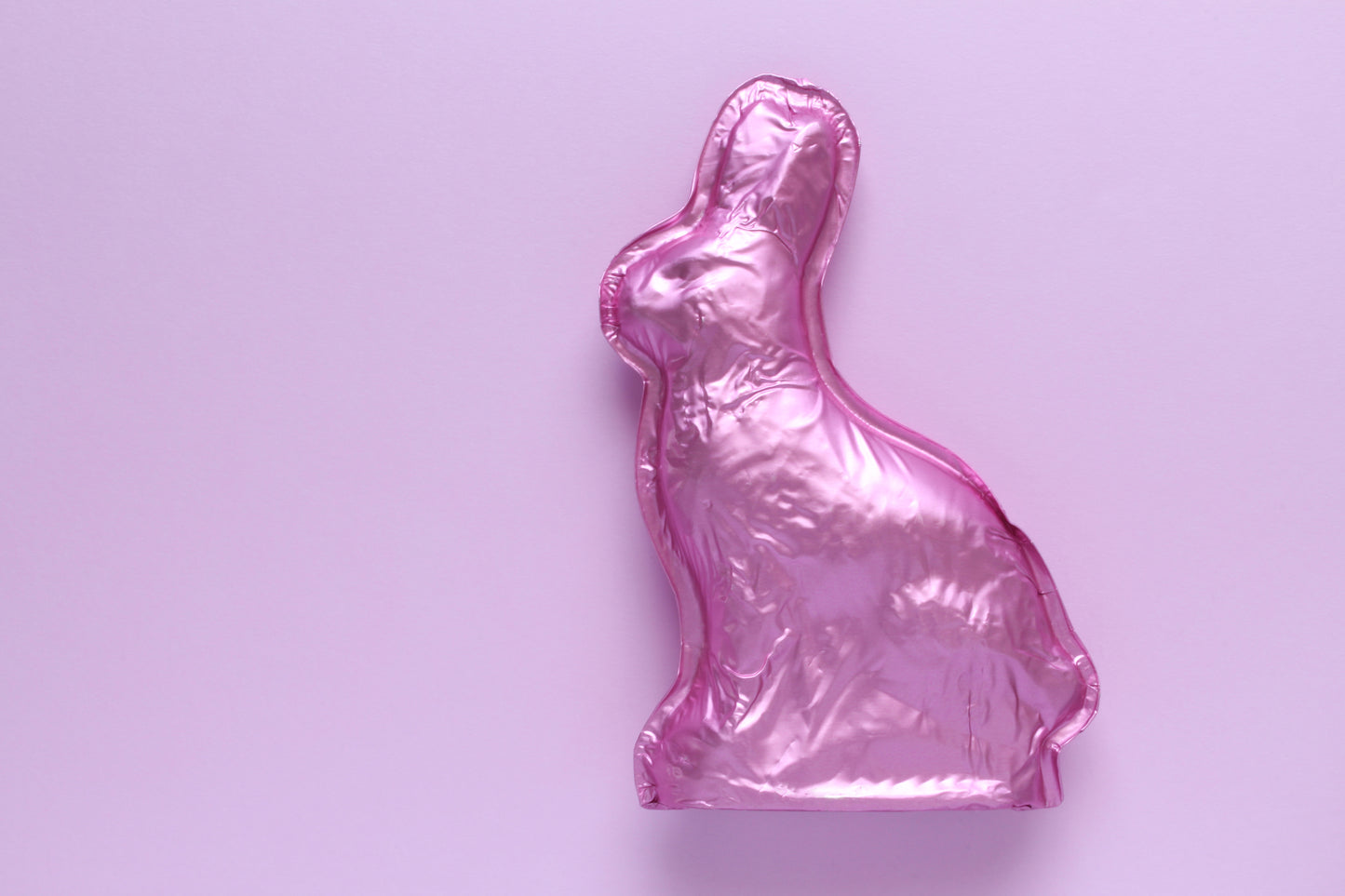 Pink bunny