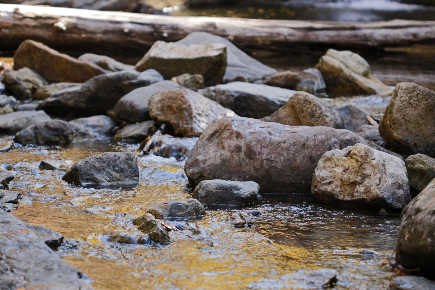 Spearfish Canyon stream
