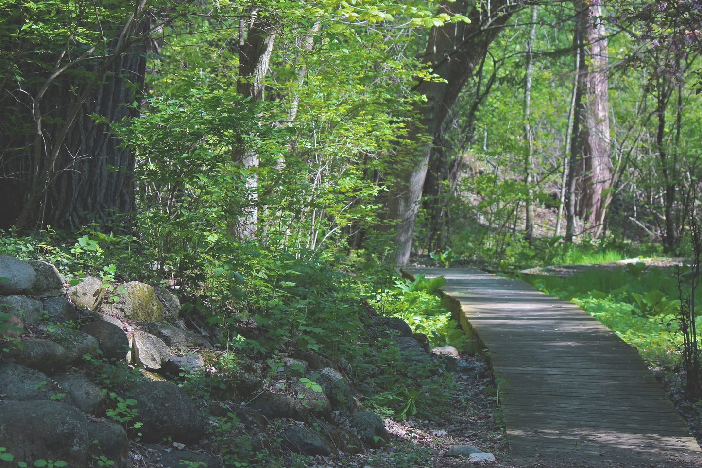 Retzer Nature Center nature trail