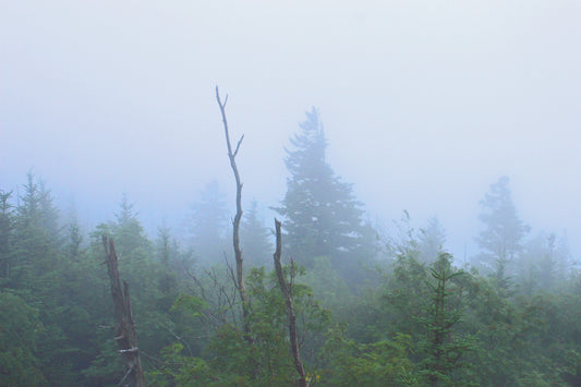 Great Smokey Mountains