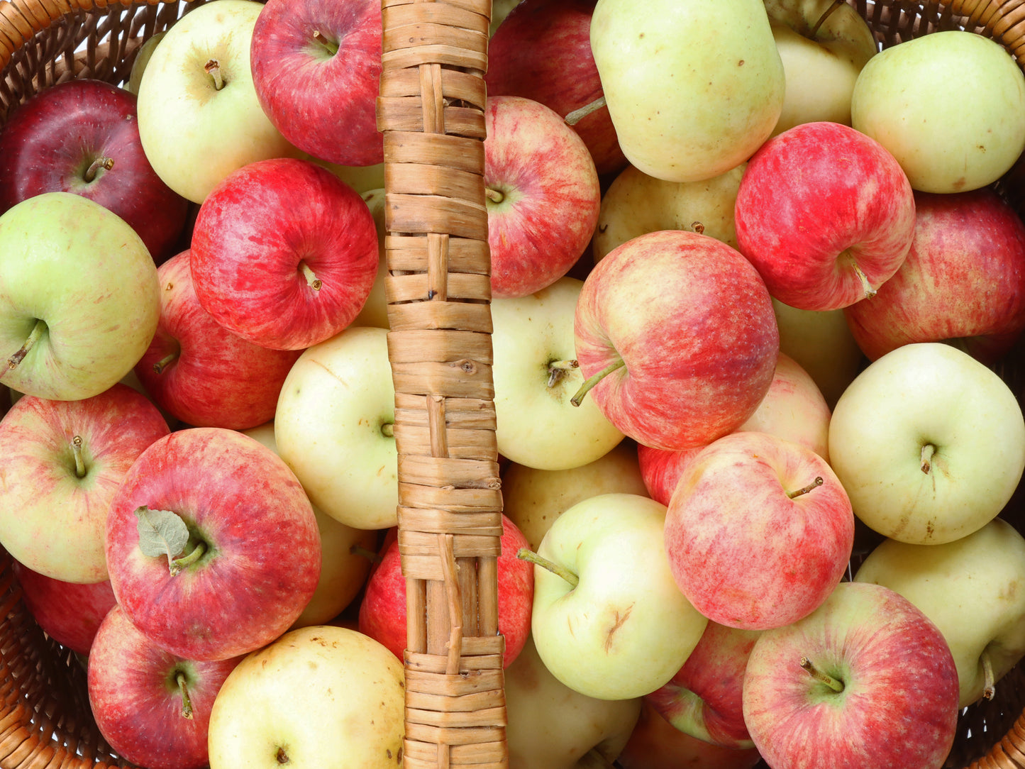 Apple Basket