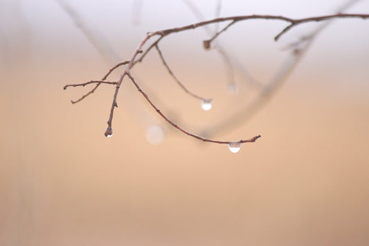 Drops