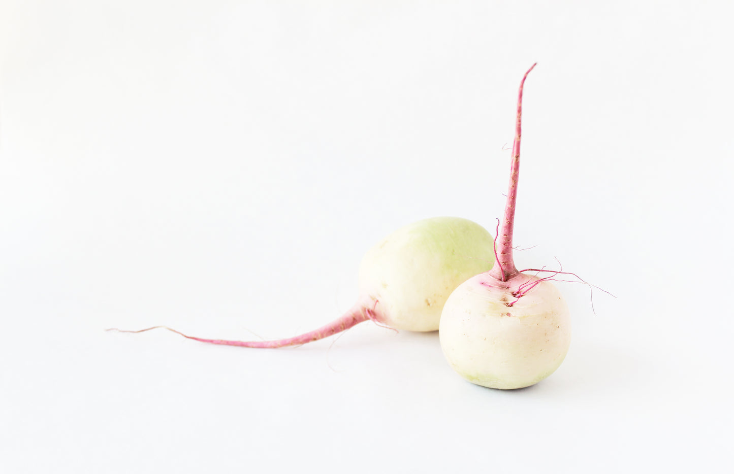 Watermelon radish pair