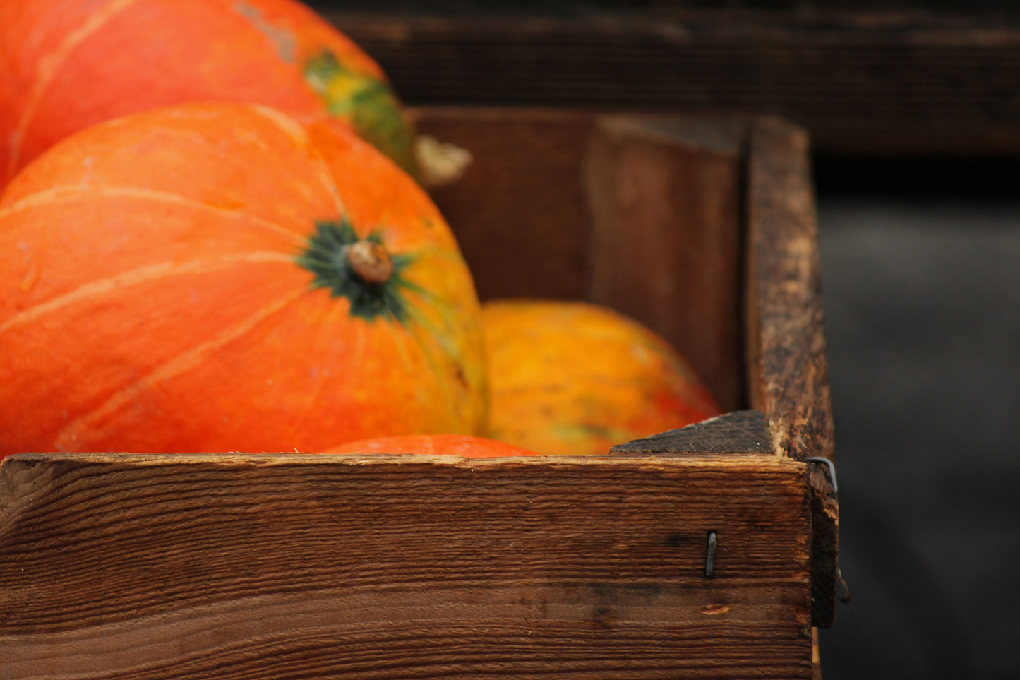 Winter squash crate