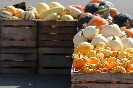 Gourds on display