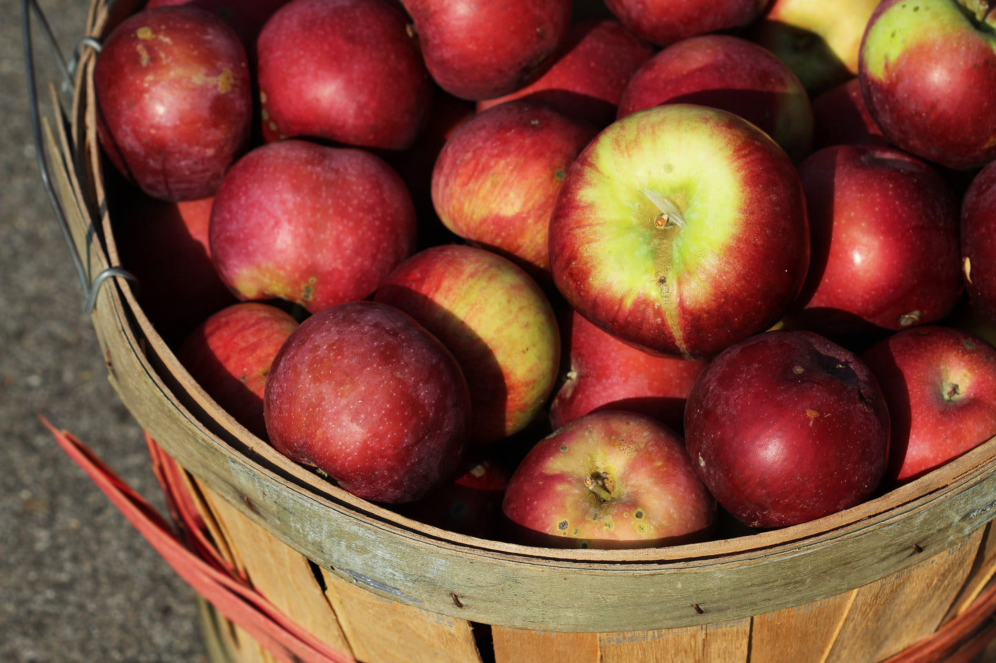 Bushel basket of apples