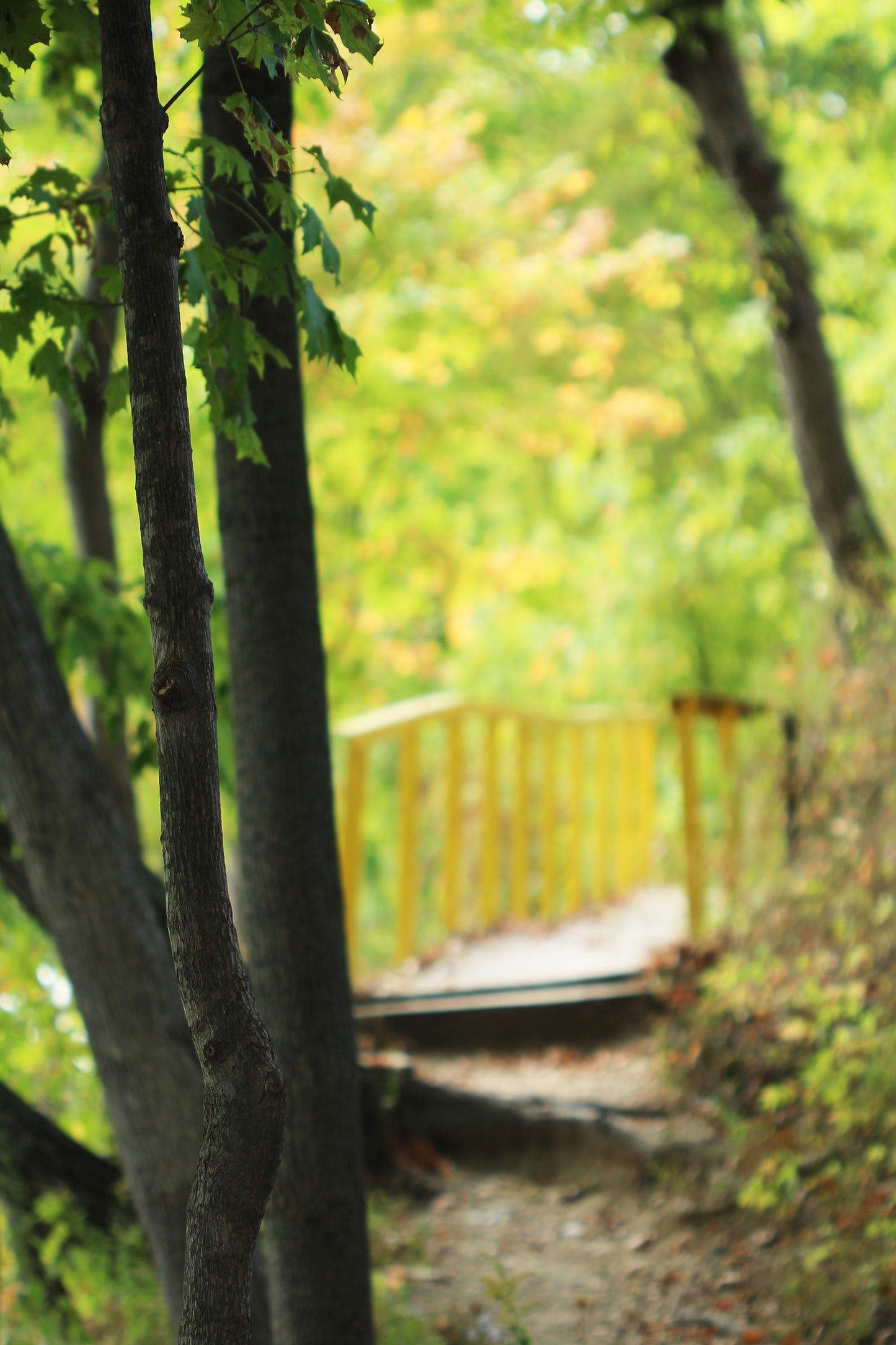 Lake Geneva Shore Path