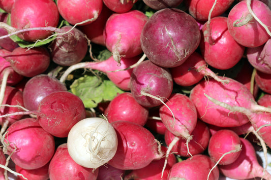 Radishes