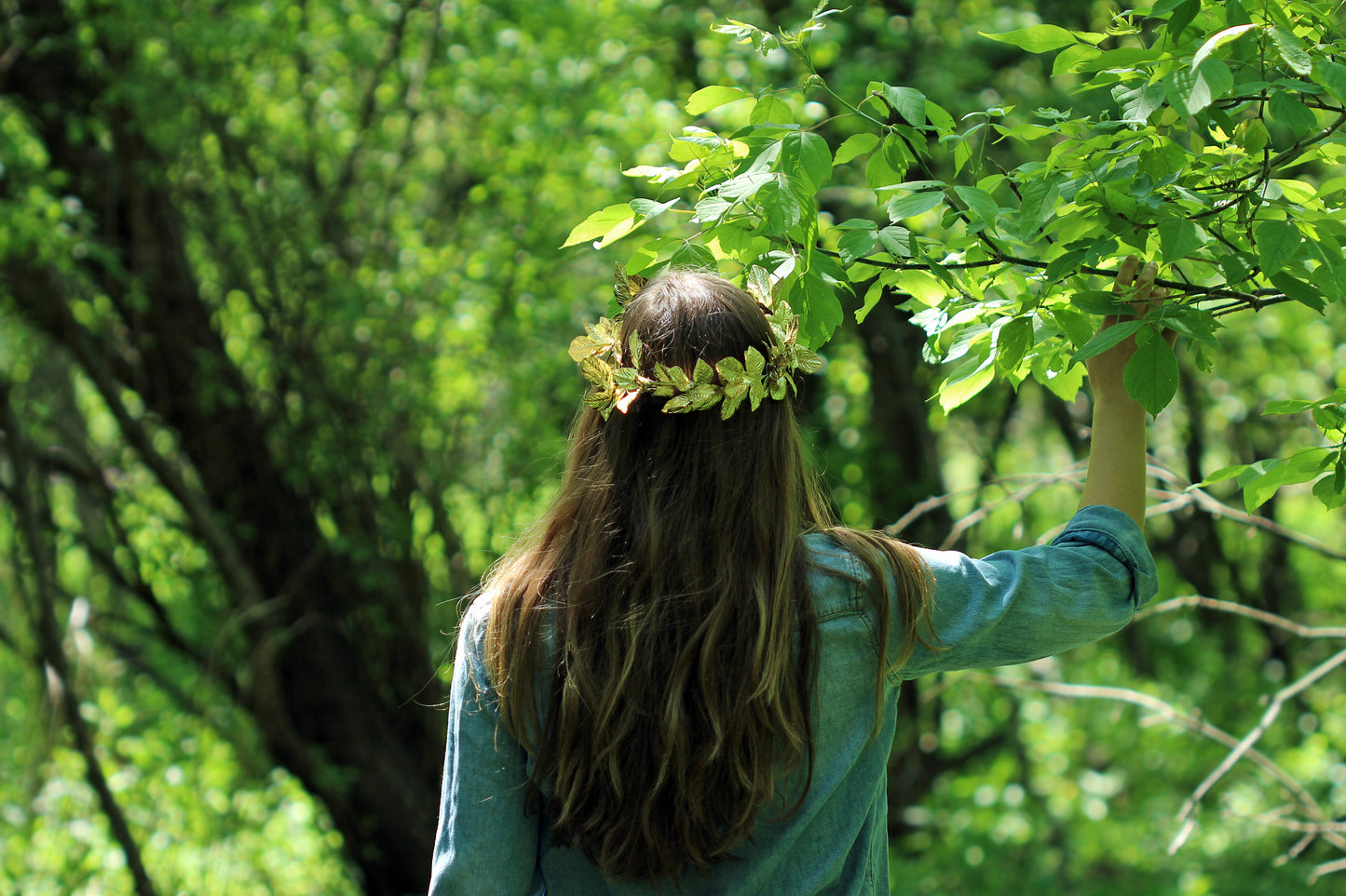 Into the woods