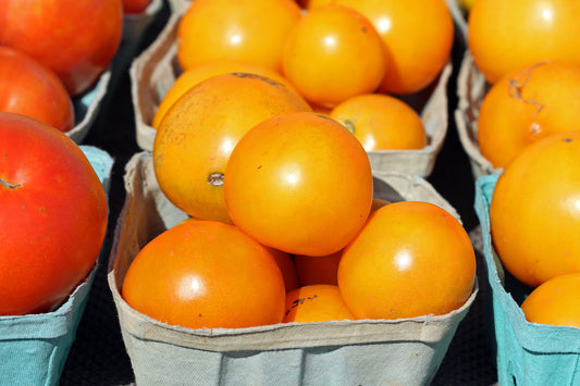 Tomatoes for sale