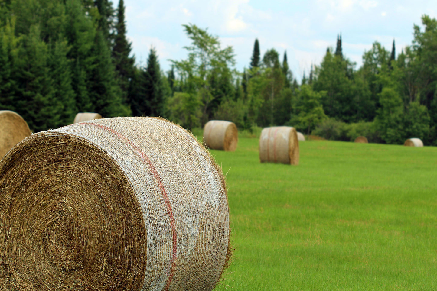 Hay bales in Wisconsin