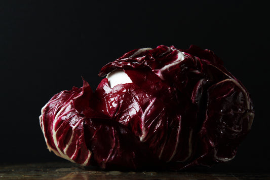 Radicchio