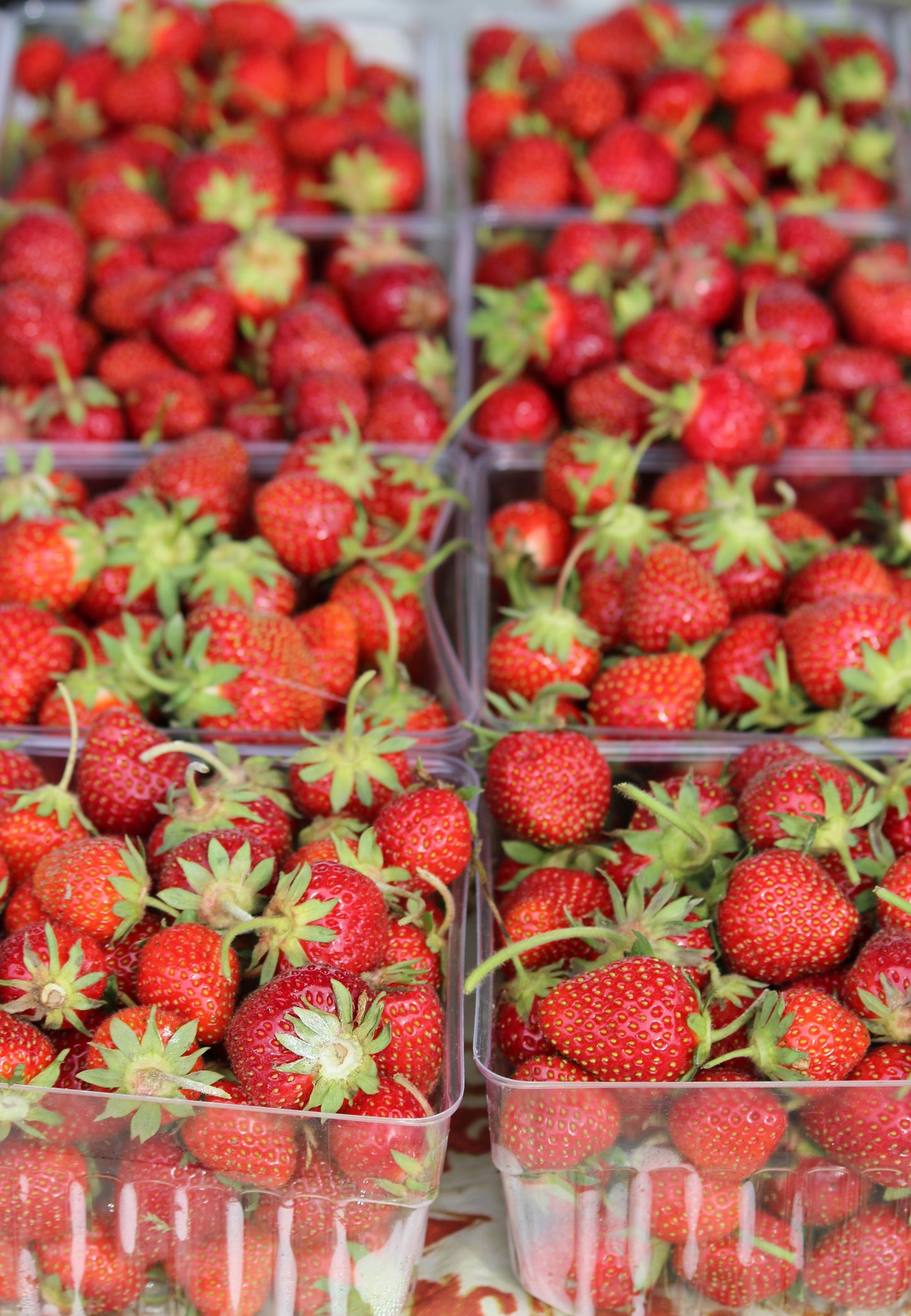 Strawberry quarts