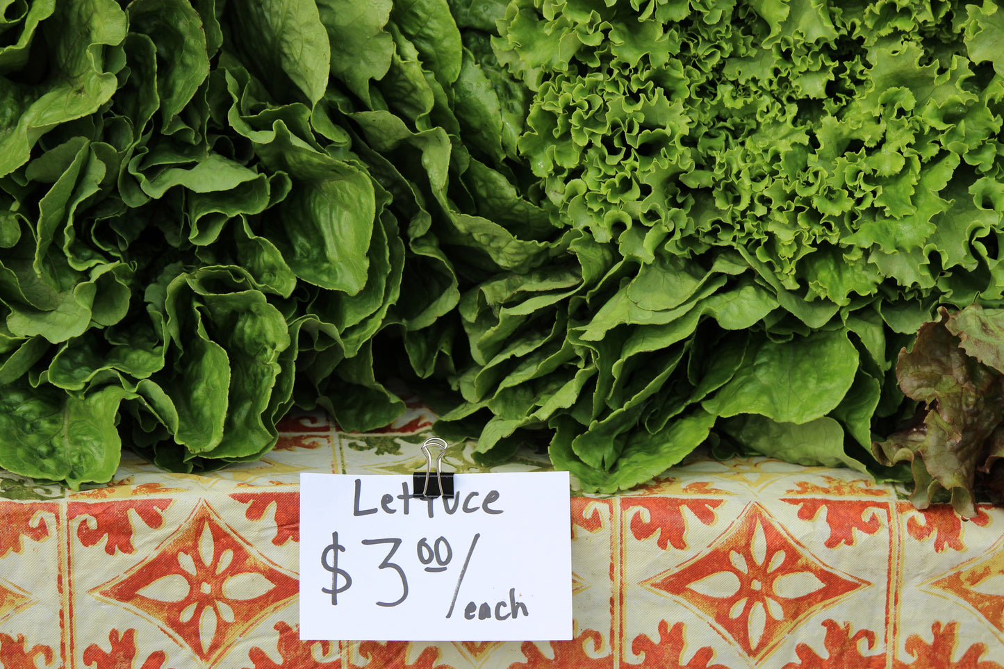 Lettuce for sale