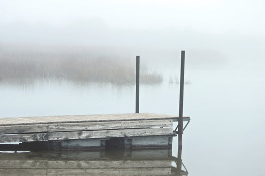 Misty morning