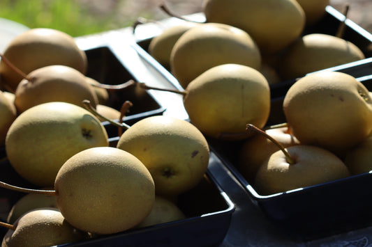 Asian pears at market