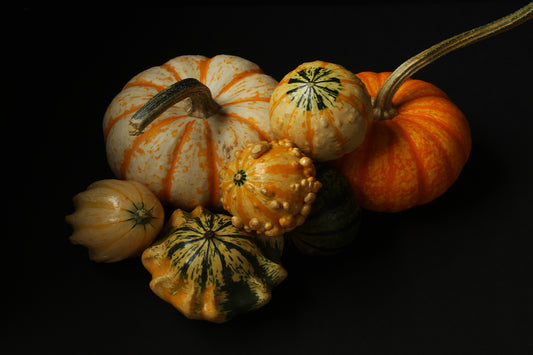 Winter squash still life