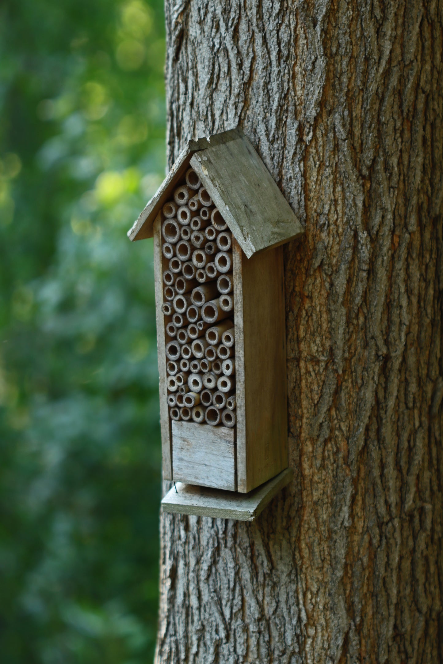 Insect hotel