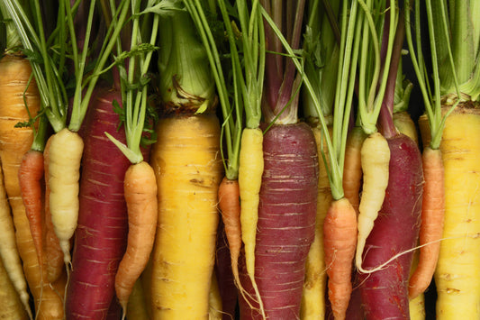 Tricolor carrots