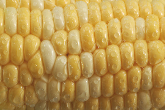 Corn on the cob