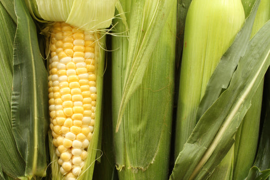 Sweetcorn