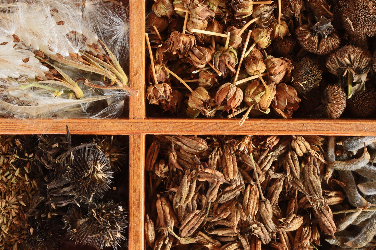 Seed saving tray