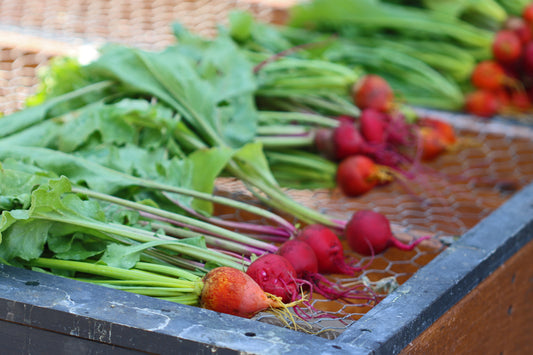 Beet washing