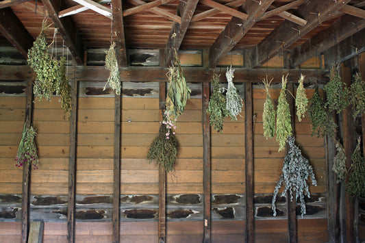 Drying Barn