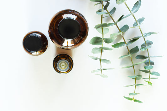 Eucalyptus