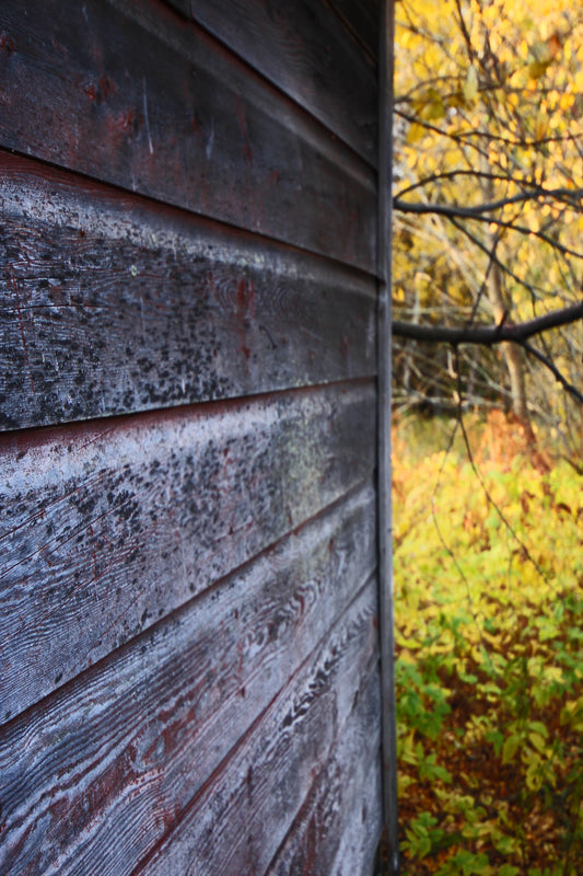 Autumn corner