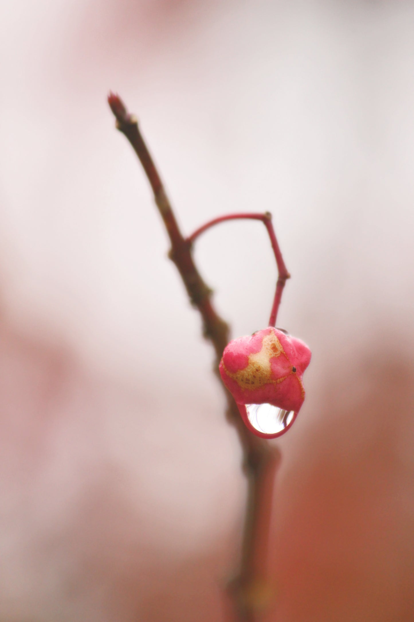 Water on autumn