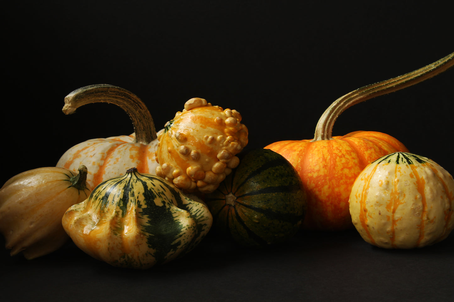 Fall gourds