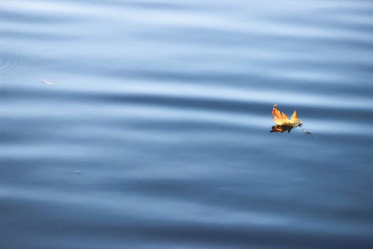 Golden floating leaf