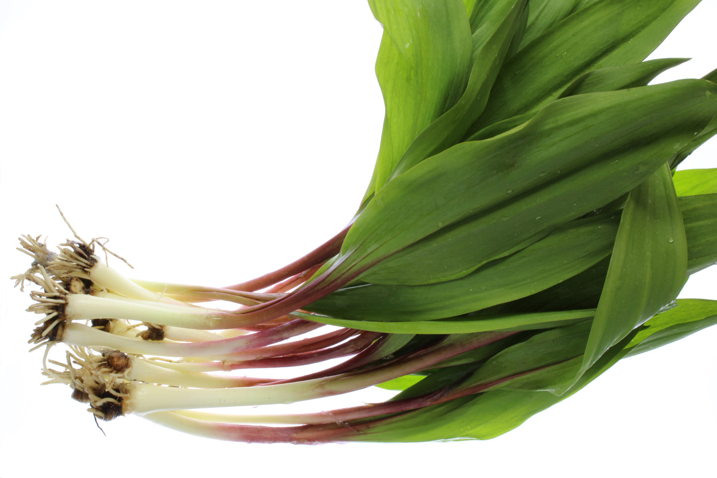 Ramps