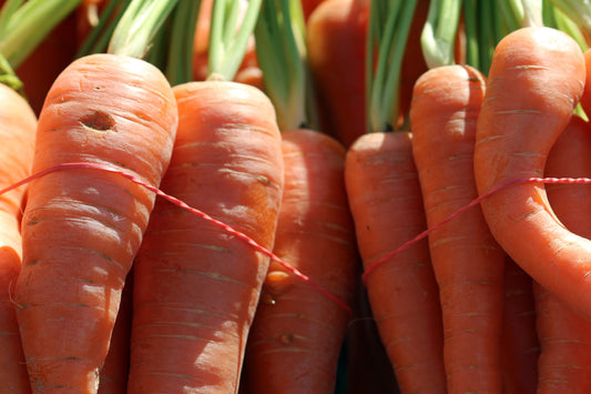 Carrot bunches