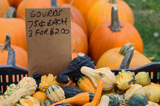 Gourds for sale