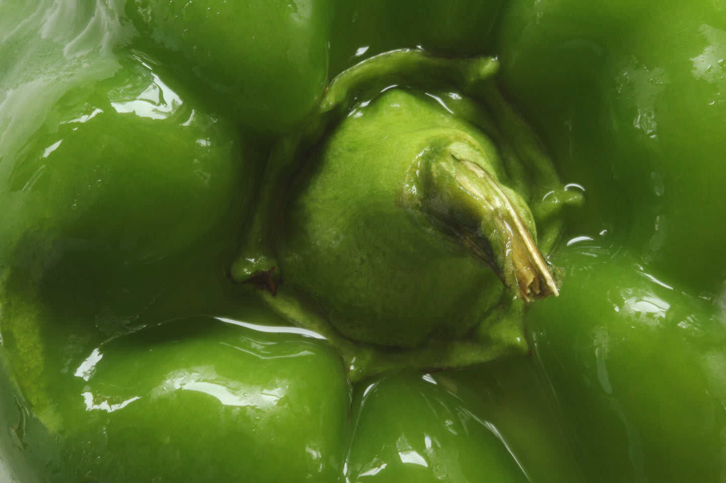 Macro green bell pepper